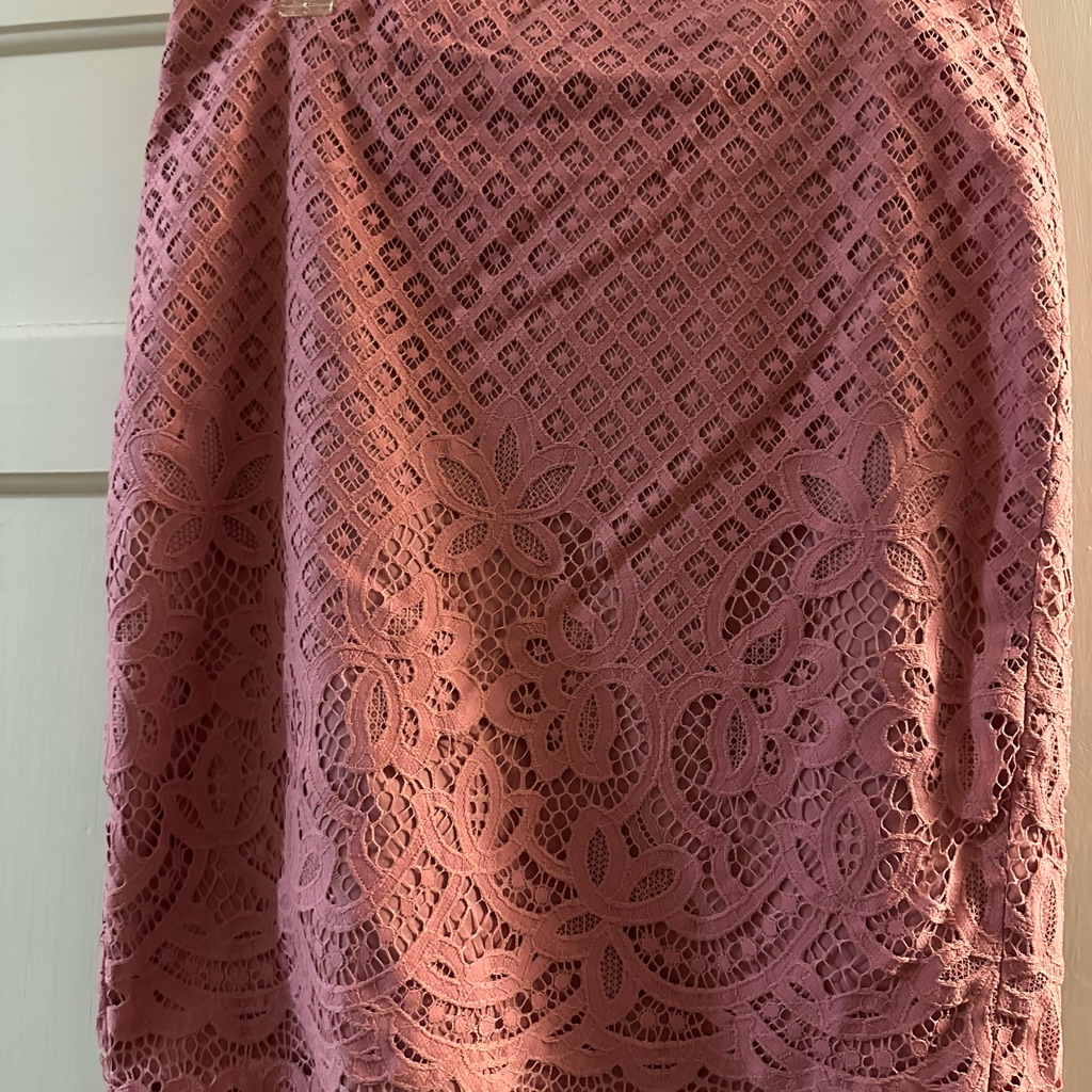 Nwt Loft Soft Pink Lace Skirt With Lining
